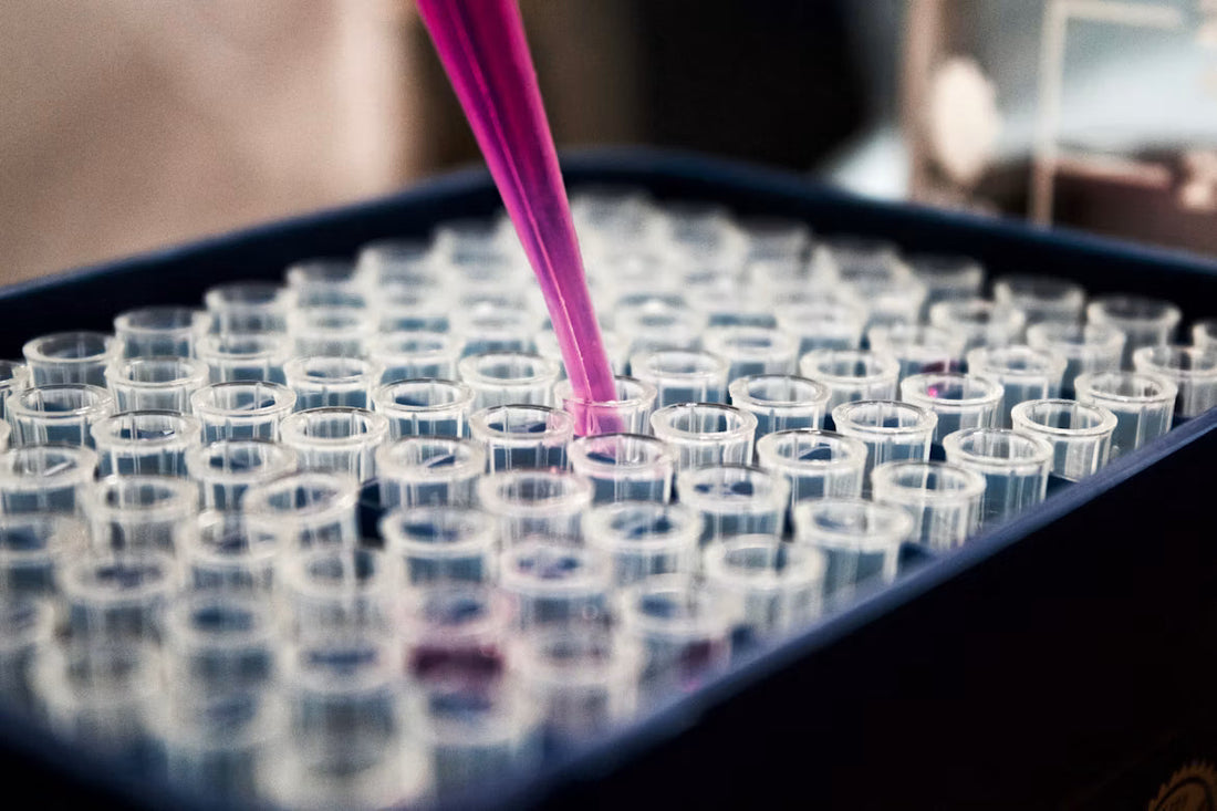 Tirzepatide: An Overview of Current Research