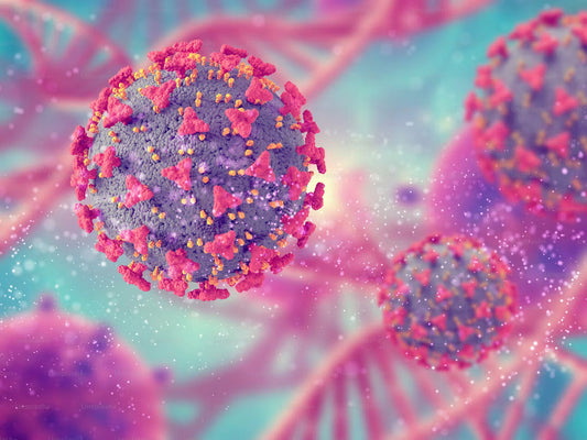 NAD+: An Overview of Current Research
