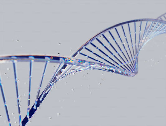 MOTS-c: An Overview of Current Research